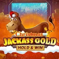 Jackass Gold Hold & Win ChristmasNovomatic thumbnail